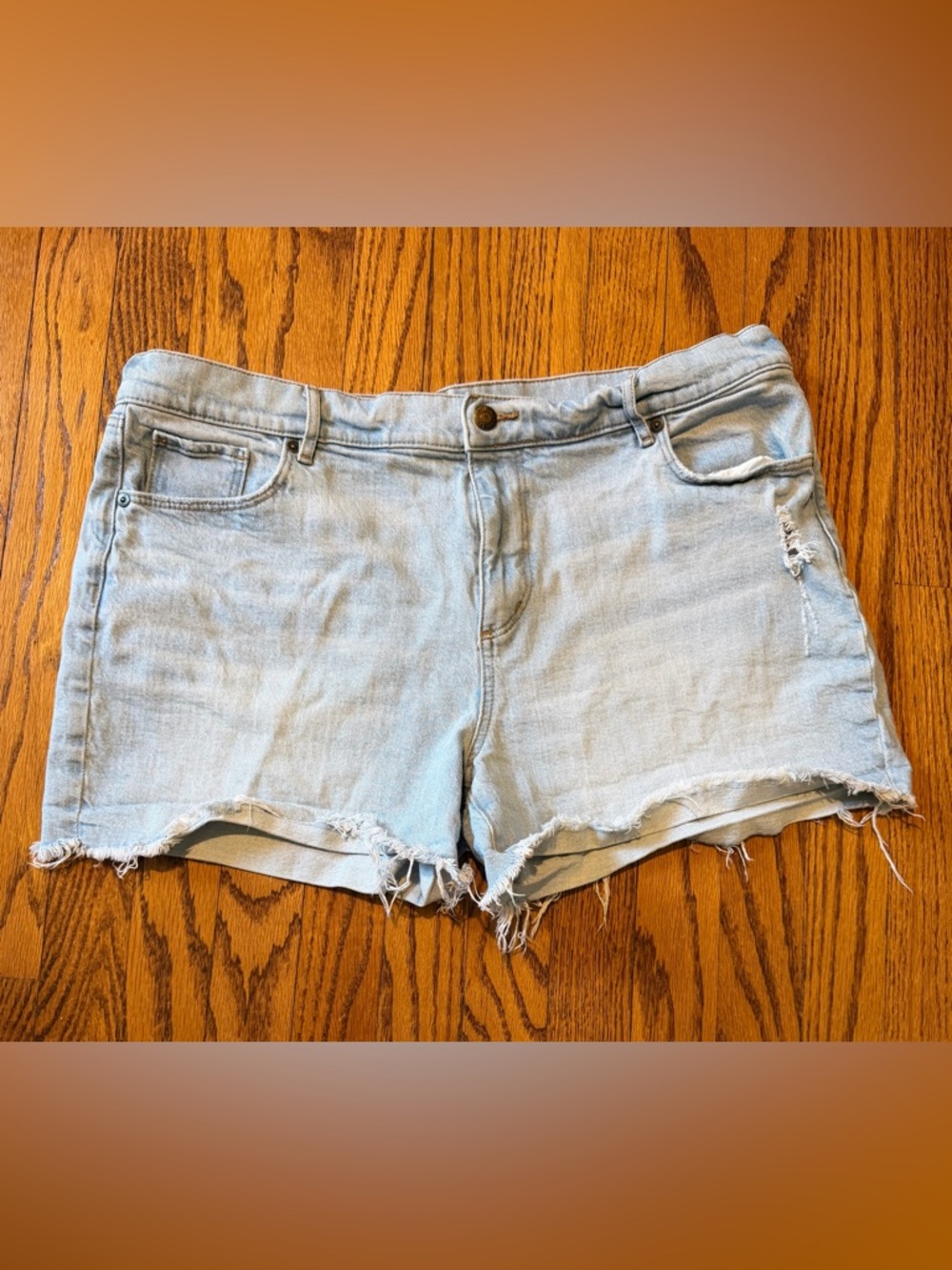 Made & Loved LOFT Light Blue Denim Cutoff Women's Shorts - SIZE 14